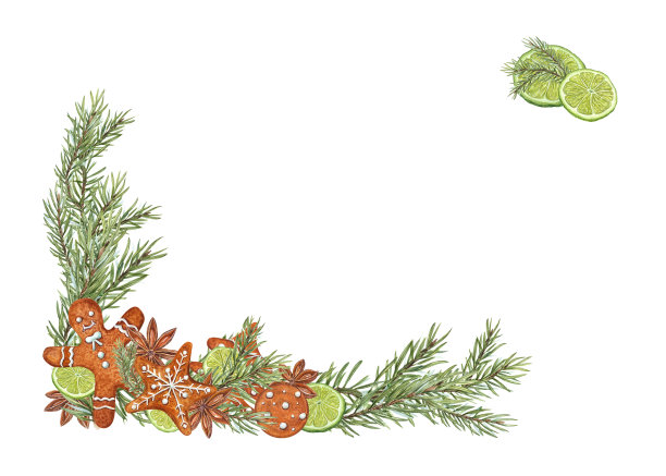 框架的水彩圣诞树树枝，八角茴香，青柠片，姜饼饼干孤立在白色。明信片设计插画，贺卡，圣诞贺卡，新年贺卡图片下载