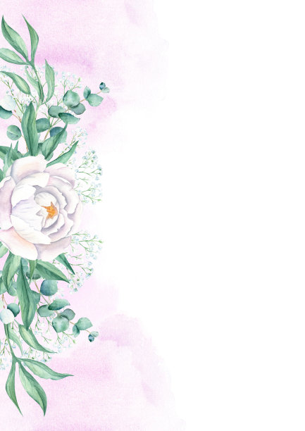 花卉背景卡。婚礼邀请模板与白色牡丹，gypsophila和桉树，紫色，粉红色水彩飞溅。用于保存日期，贺卡，海报和封面设计。图片下载