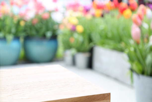 花卉家居装饰图片下载