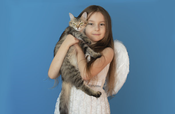美丽开朗的女孩的特写，怀里抱着可爱的灰猫。友情，爱为宠物。保护动物的理念。把猫从收容所带走图片下载