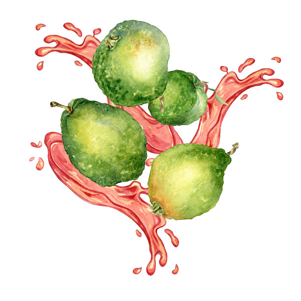 整个番石榴和果汁粉红色飞溅水彩插图孤立的白色背景。热带水果，红点，滴瓜石榴手绘。包装、包装、标签、菜单、贴纸的设计图片下载
