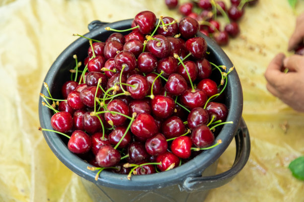 樱桃桶图片下载