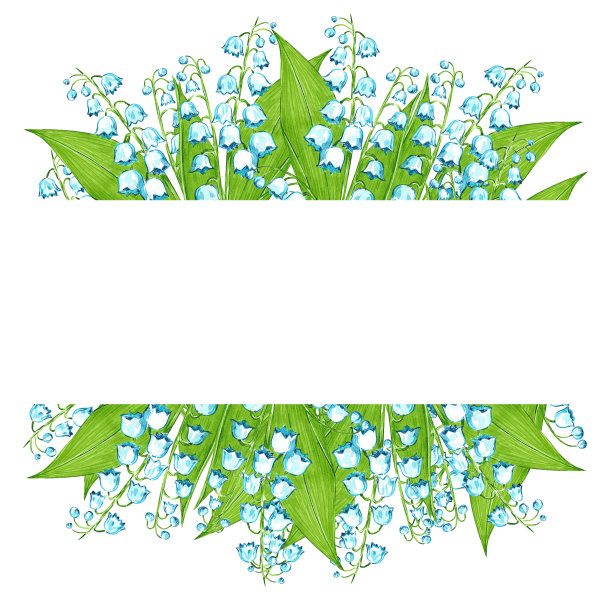 手绘水彩百合的山谷框架板隔离在白色背景。可用于邀请函、明信片、海报、书籍装饰等印刷品。图片下载