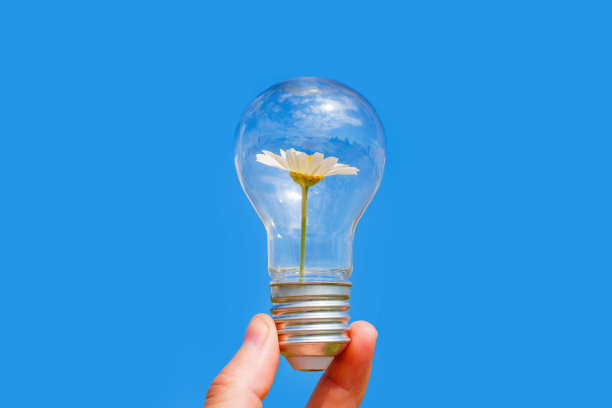 蓝色灯泡里面有雏菊图片下载