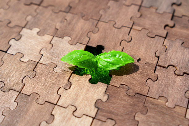 茁壮成长的萌芽:植物生长展开在一个谜题的差距图片下载