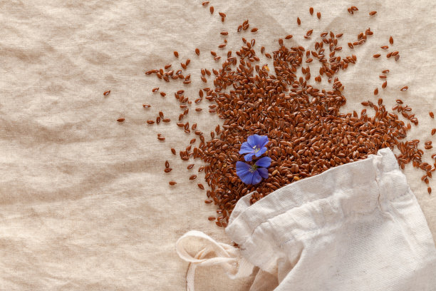 亚麻籽图片下载