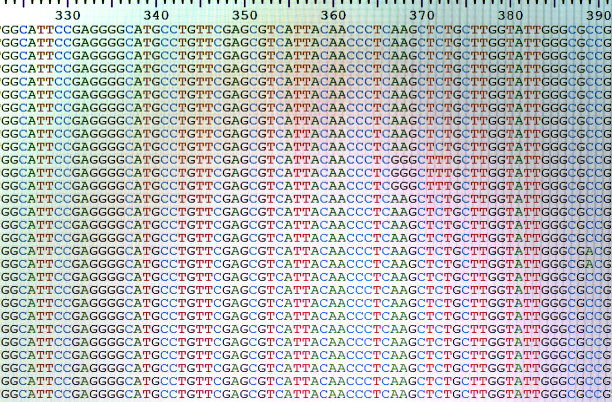 排列的DNA序列显示在液晶电脑屏幕上。图片下载