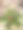 野生植物生长在垃圾处理场和水周围的水泥材料上的自然照片图片下载