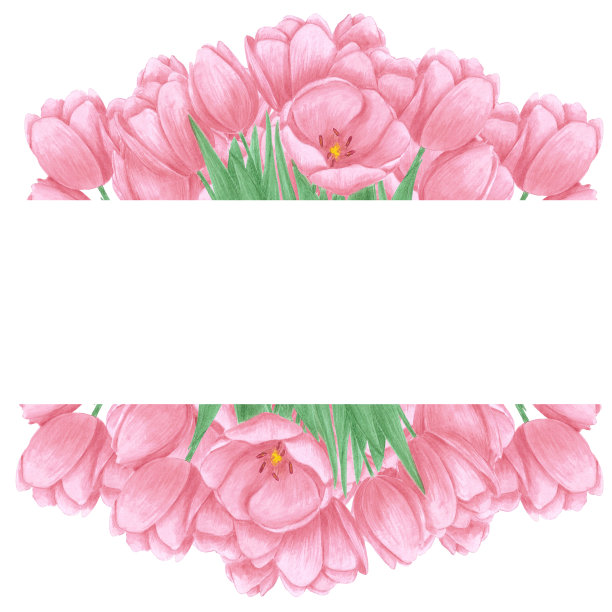 手绘水彩粉红色郁金香框架板在白色的背景。剪贴簿，明信片，婚礼请柬，相册。图片下载