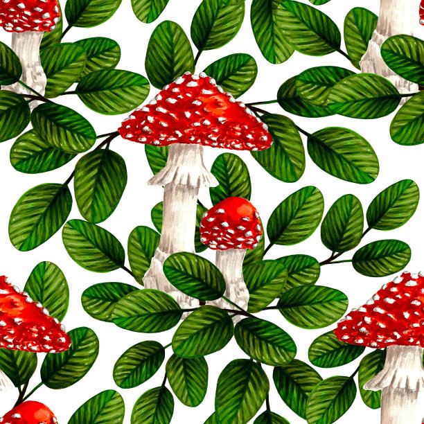 无缝模式飞木耳蘑菇和叶子在白色背景上，手绘标记插图图片下载