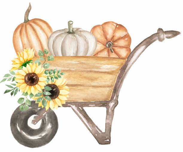水彩手绘花园车与南瓜和向日葵花束插图，运输剪贴画图片下载