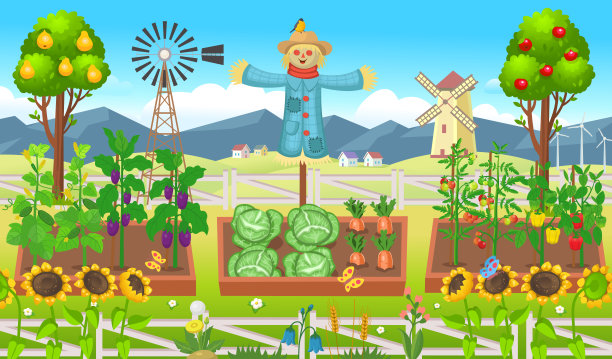 农场全景：菜园图片下载