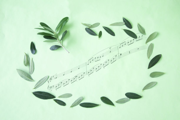 橄榄叶和乐谱图片下载