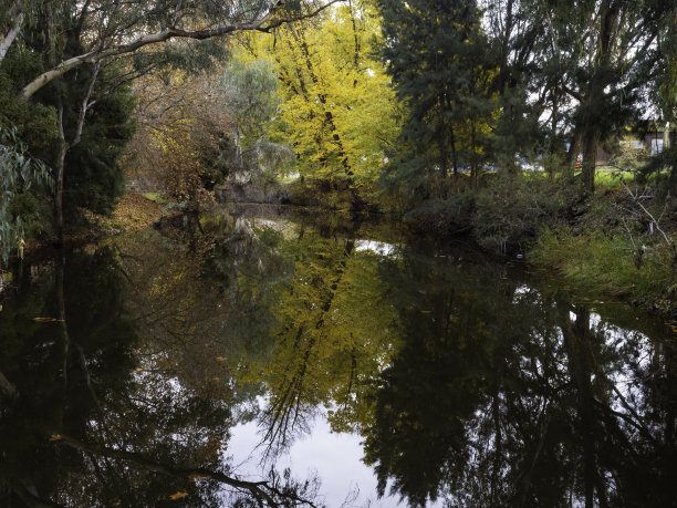 江畔秋色图片下载