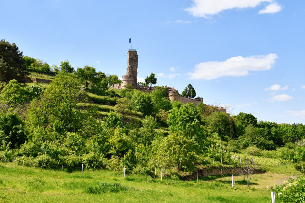 在莱茵兰-普法尔茨被称为瓦希滕堡的城堡废墟图片下载