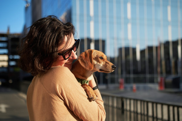 女孩拥抱狗宠物可爱可爱的红狗友好的特写有趣的动物图片下载