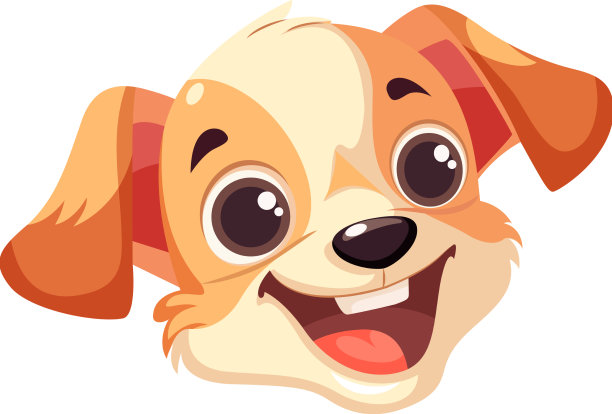 欢快可爱的狗脸在白色的背景图片下载