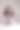 一个黑发女孩手里拿着一束吉普赛人花。图片下载