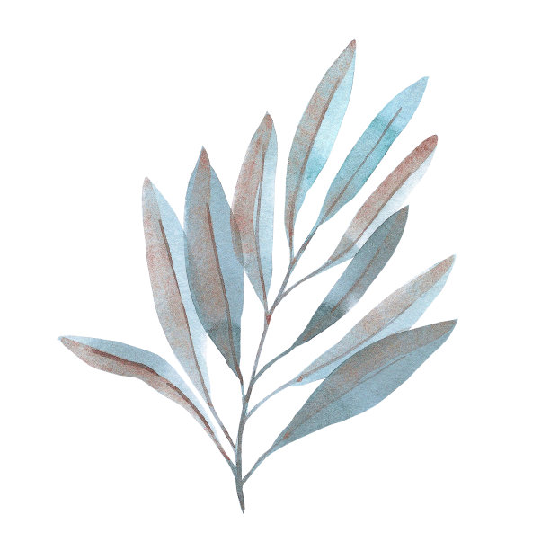 手绘水彩灰色，蓝色和铜叶。孤立在白色上。可用于卡片、图案、请柬、标签。图片下载