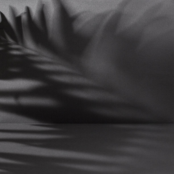 深灰色抽象背景与棕榈叶阴影图片下载