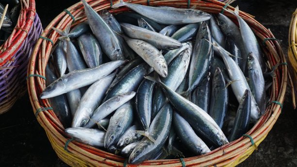 市场里篮子里的鲜鱼图片下载