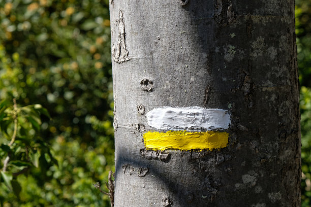 在法国的树干上标出旅游路线。图片下载