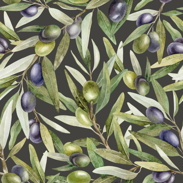 橄榄枝，树叶和果实。水彩无缝图案。深色背景上的橄榄。用于织物、包装纸、剪贴簿、产品包装设计图片下载