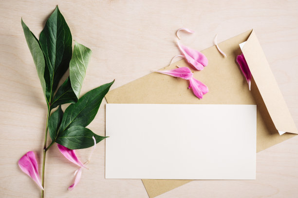 邀请或贺卡模型，信封与牡丹花瓣在一个木制的背景。图片下载