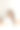 一个女作家正在咖啡馆里用笔记本写一本书。图片下载