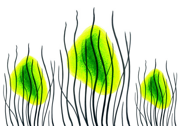 白色背景上的黑线图案从图像的底部出现。它们后面是三个黄绿色的点。图片下载