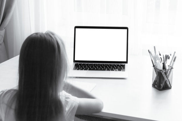 通过在线家庭教育在家学习。这个孩子正坐在电脑前图片下载