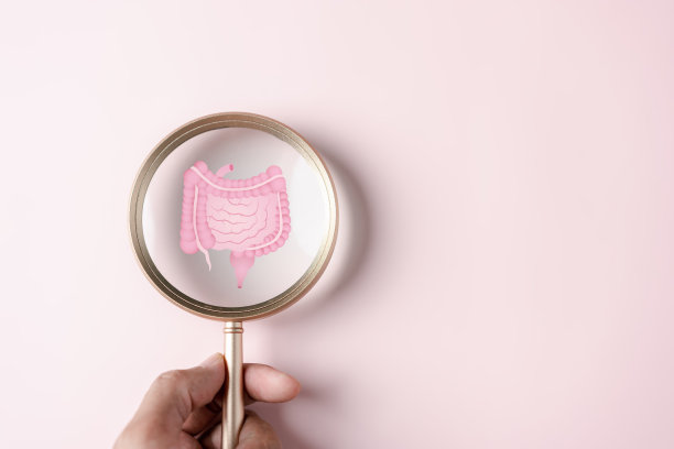 聚焦胃与肠道的放大虚拟图标，益生菌食品对肠道健康，肠癌，肠道炎症。健康护理理念。图片下载