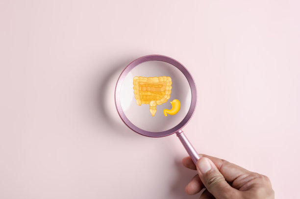 聚焦胃与肠道的放大虚拟图标，益生菌食品对肠道健康，肠癌，肠道炎症。健康护理理念。图片下载