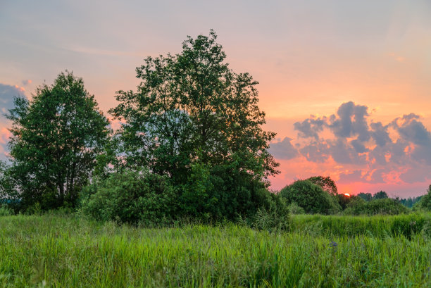 夏日田野的夕阳图片下载