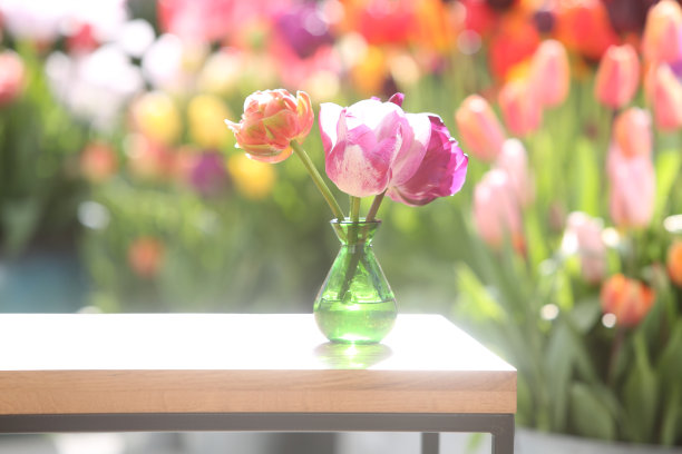 客厅里的花瓶里有花图片下载