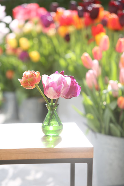 客厅里的花瓶里有花图片下载