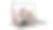 汤加岛笔记的3D渲染从一个孤立在白色背景上的笔记本电脑显示器出来。笔记本电脑里成堆的汤加语笔记钱来自电脑，钱来自笔记本电脑图片下载