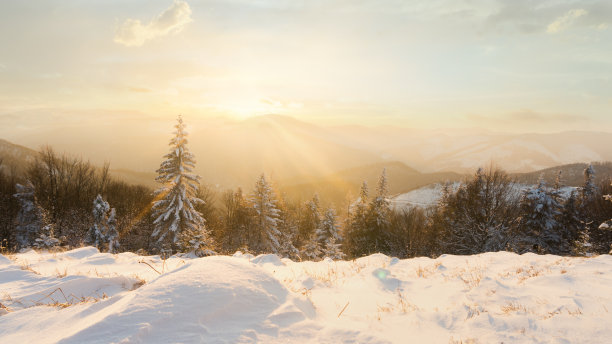 白雪覆盖的冬季山地森林全景图片下载