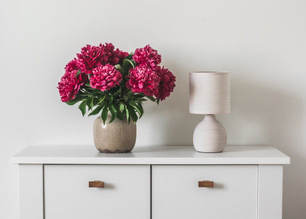 陶瓷花瓶里的一束红色牡丹，白色五斗橱上的一盏复古台灯。极简风格的家居室内图片下载