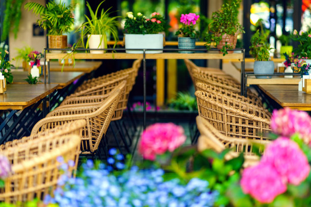 户外餐厅，有柳条家具和许多不同的花图片下载