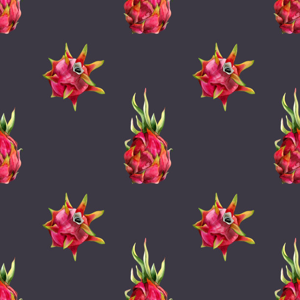 粉红色的红色火龙果在暗灰紫色简单无缝图案与水彩火龙果图纸背景。手绘极简主义植物插图夏季热带菜单图片下载
