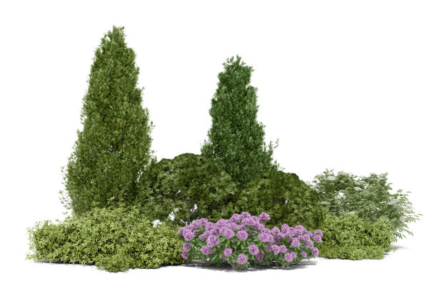 现实的小花园。图片下载