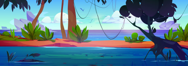 靠近海边的热带丛林森林景观图片下载