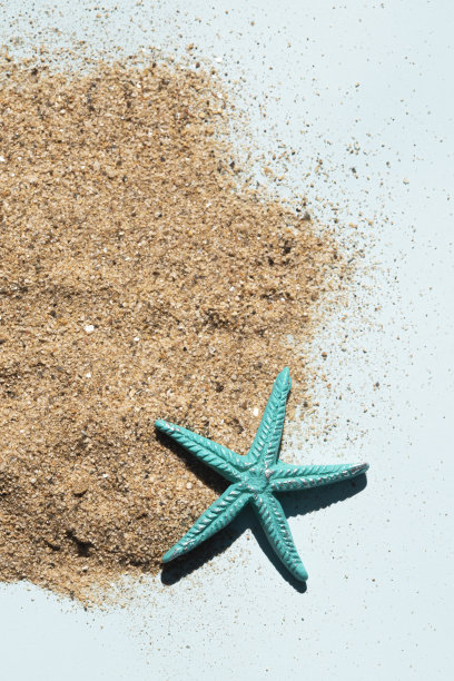 夏天的概念图片下载