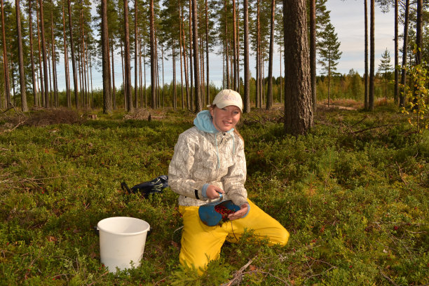 森林里的年轻女子，手里拿着一个浆果采摘机图片下载