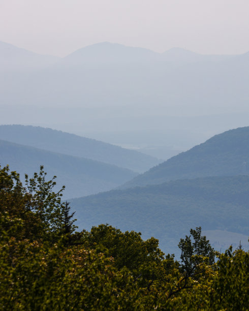 熊岩保护区的烟雾日出图片下载