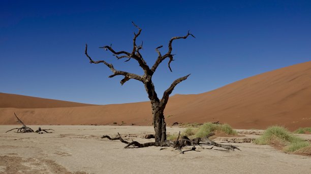 纳米比亚的纳米布沙漠图片下载