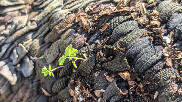 门垫:用作门垫的编织布图片下载
