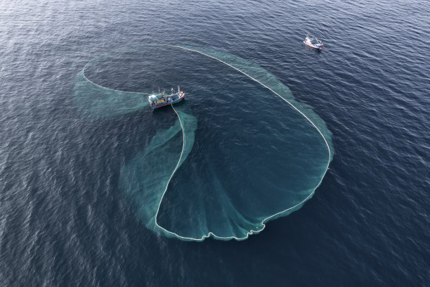 渔船沿着富颜海岸线捕捞凤尾鱼，图安，富颜，越南。图片下载