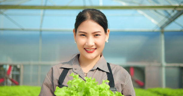 近距离肖像年轻的亚洲女农民手持有机生菜在温室花园看着相机。有机水培蔬菜农场，健康素食理念图片下载